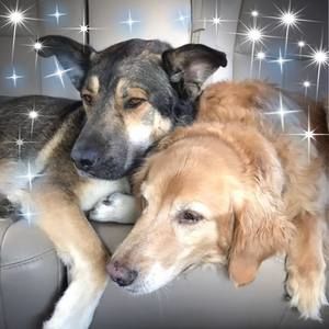 Meet your Posher, Diane